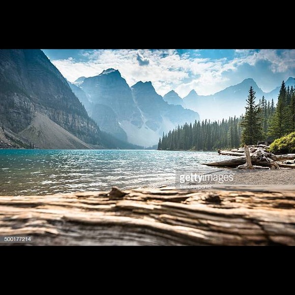 Meet your Posher, Edwin - Picture 1 of 1